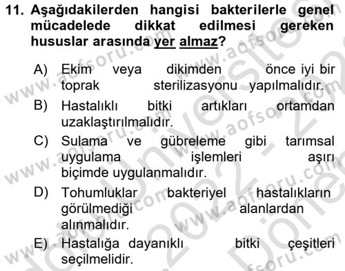 Fitopatoloji Dersi 2022 - 2023 Yılı (Final) Dönem Sonu Sınav Soruları 11. Soru