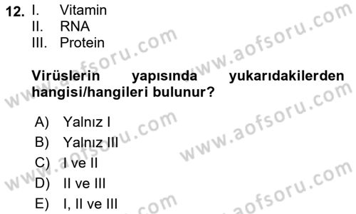 Fitopatoloji Dersi 2022 - 2023 Yılı (Final) Dönem Sonu Sınav Soruları 12. Soru