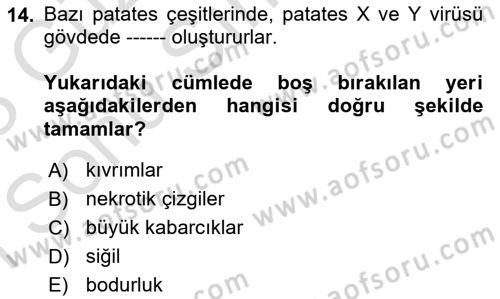 Fitopatoloji Dersi 2022 - 2023 Yılı (Final) Dönem Sonu Sınav Soruları 14. Soru