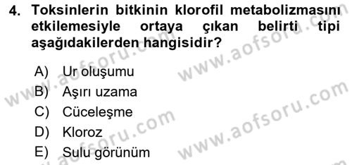Fitopatoloji Dersi 2022 - 2023 Yılı (Final) Dönem Sonu Sınav Soruları 4. Soru