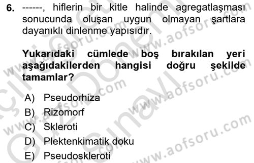 Fitopatoloji Dersi 2022 - 2023 Yılı (Final) Dönem Sonu Sınav Soruları 6. Soru
