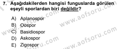 Fitopatoloji Dersi 2022 - 2023 Yılı (Final) Dönem Sonu Sınav Soruları 7. Soru