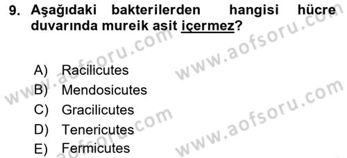 Fitopatoloji Dersi 2022 - 2023 Yılı (Final) Dönem Sonu Sınav Soruları 9. Soru