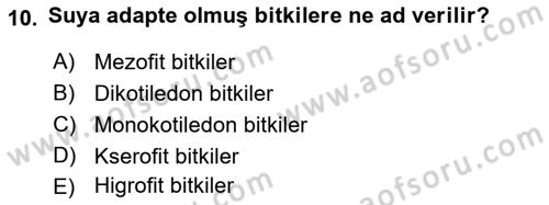 Fitopatoloji Dersi 2022 - 2023 Yılı Yaz Okulu Sınavı 10. Soru