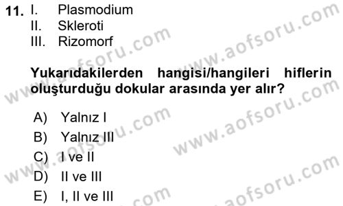 Fitopatoloji Dersi 2022 - 2023 Yılı Yaz Okulu Sınavı 11. Soru