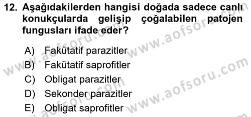 Fitopatoloji Dersi 2022 - 2023 Yılı Yaz Okulu Sınavı 12. Soru