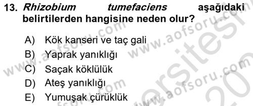 Fitopatoloji Dersi 2022 - 2023 Yılı Yaz Okulu Sınavı 13. Soru