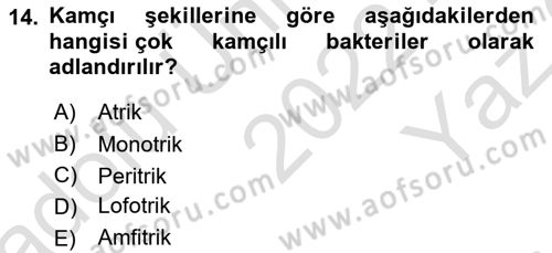 Fitopatoloji Dersi 2022 - 2023 Yılı Yaz Okulu Sınavı 14. Soru