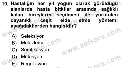 Fitopatoloji Dersi 2022 - 2023 Yılı Yaz Okulu Sınavı 19. Soru