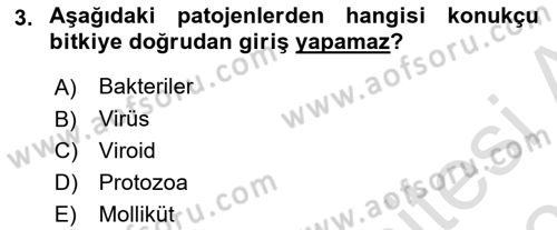 Fitopatoloji Dersi 2022 - 2023 Yılı Yaz Okulu Sınavı 3. Soru