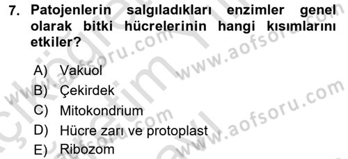 Fitopatoloji Dersi 2022 - 2023 Yılı Yaz Okulu Sınavı 7. Soru