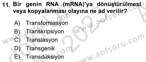 Fitopatoloji Dersi 2023 - 2024 Yılı (Vize) Ara Sınav Soruları 11. Soru