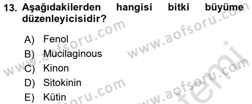 Fitopatoloji Dersi 2023 - 2024 Yılı (Vize) Ara Sınav Soruları 13. Soru