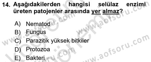 Fitopatoloji Dersi 2023 - 2024 Yılı (Vize) Ara Sınav Soruları 14. Soru