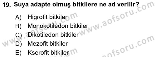 Fitopatoloji Dersi 2023 - 2024 Yılı (Vize) Ara Sınav Soruları 19. Soru