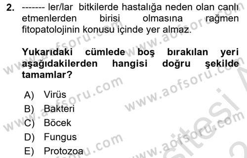 Fitopatoloji Dersi 2023 - 2024 Yılı (Vize) Ara Sınav Soruları 2. Soru