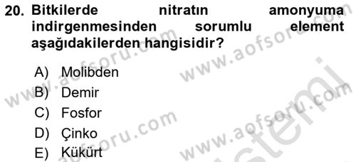 Fitopatoloji Dersi 2023 - 2024 Yılı (Vize) Ara Sınavı 20. Soru