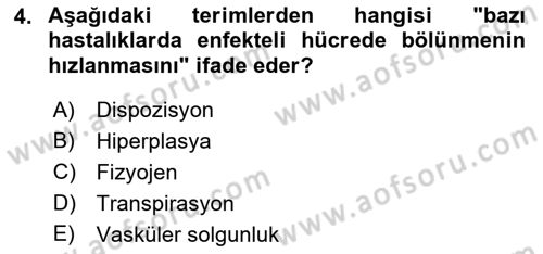 Fitopatoloji Dersi 2023 - 2024 Yılı (Vize) Ara Sınav Soruları 4. Soru