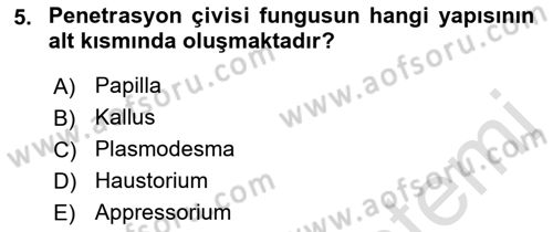 Fitopatoloji Dersi 2023 - 2024 Yılı (Vize) Ara Sınavı 5. Soru