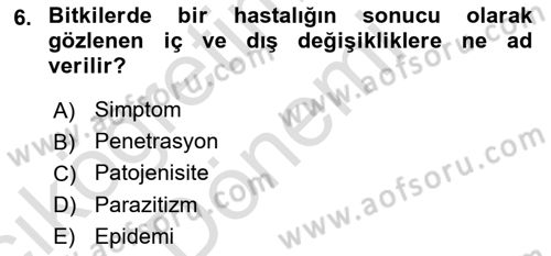 Fitopatoloji Dersi 2023 - 2024 Yılı (Vize) Ara Sınav Soruları 6. Soru