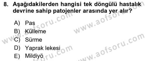 Fitopatoloji Dersi 2023 - 2024 Yılı (Vize) Ara Sınav Soruları 8. Soru