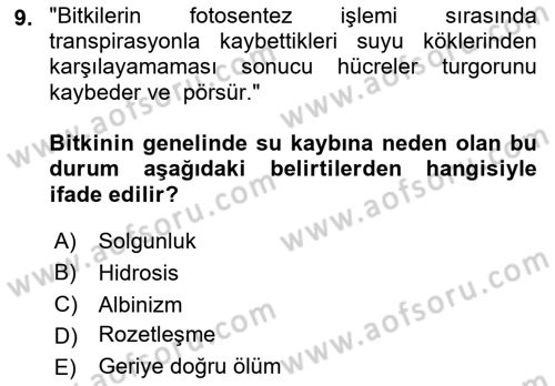 Fitopatoloji Dersi 2023 - 2024 Yılı (Vize) Ara Sınav Soruları 9. Soru
