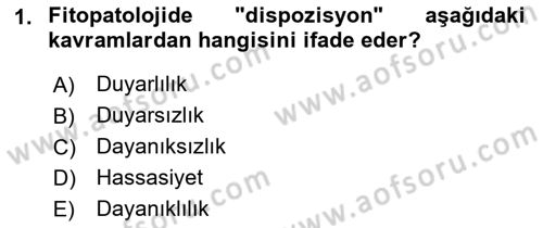 Fitopatoloji Dersi 2023 - 2024 Yılı (Final) Dönem Sonu Sınav Soruları 1. Soru