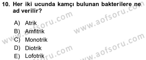 Fitopatoloji Dersi 2023 - 2024 Yılı (Final) Dönem Sonu Sınav Soruları 10. Soru