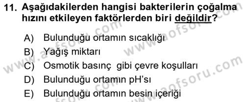 Fitopatoloji Dersi 2023 - 2024 Yılı (Final) Dönem Sonu Sınav Soruları 11. Soru