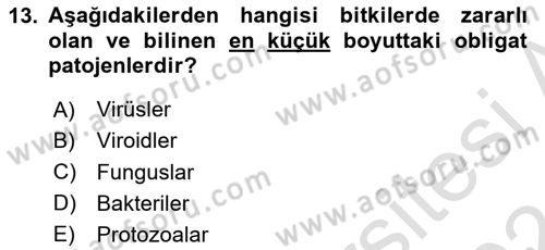 Fitopatoloji Dersi 2023 - 2024 Yılı (Final) Dönem Sonu Sınav Soruları 13. Soru