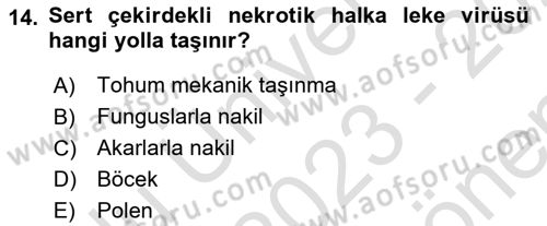 Fitopatoloji Dersi 2023 - 2024 Yılı (Final) Dönem Sonu Sınav Soruları 14. Soru