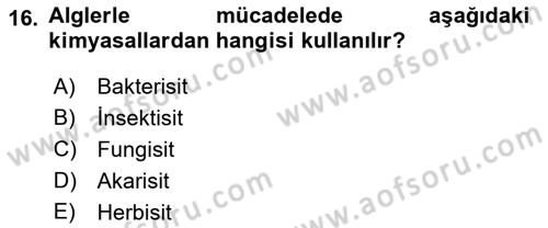 Fitopatoloji Dersi 2023 - 2024 Yılı (Final) Dönem Sonu Sınav Soruları 16. Soru