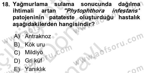 Fitopatoloji Dersi 2023 - 2024 Yılı (Final) Dönem Sonu Sınav Soruları 18. Soru