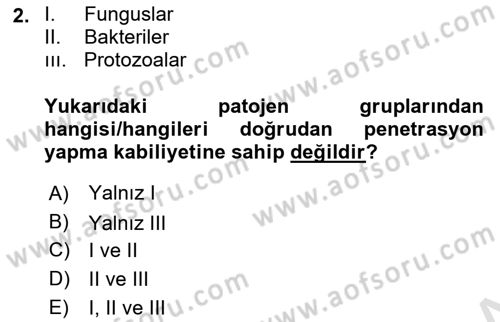 Fitopatoloji Dersi 2023 - 2024 Yılı (Final) Dönem Sonu Sınav Soruları 2. Soru