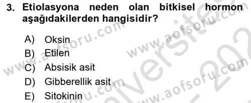 Fitopatoloji Dersi 2023 - 2024 Yılı (Final) Dönem Sonu Sınav Soruları 3. Soru