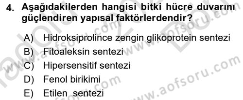 Fitopatoloji Dersi 2023 - 2024 Yılı (Final) Dönem Sonu Sınavı 4. Soru