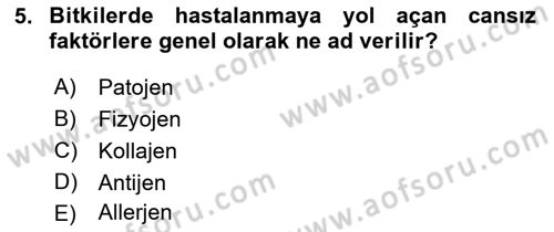 Fitopatoloji Dersi 2023 - 2024 Yılı (Final) Dönem Sonu Sınav Soruları 5. Soru