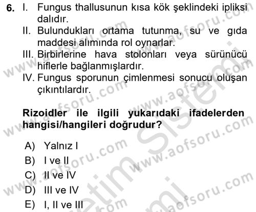 Fitopatoloji Dersi 2023 - 2024 Yılı (Final) Dönem Sonu Sınav Soruları 6. Soru