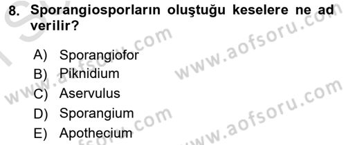 Fitopatoloji Dersi 2023 - 2024 Yılı (Final) Dönem Sonu Sınav Soruları 8. Soru