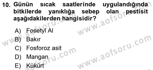 Fitopatoloji Dersi 2023 - 2024 Yılı Yaz Okulu Sınav Soruları 10. Soru