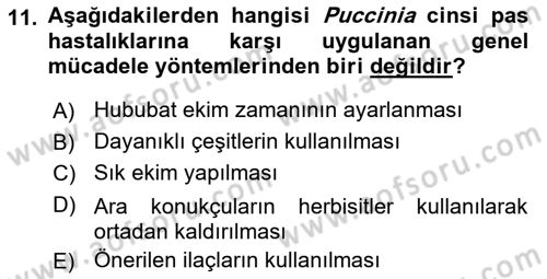 Fitopatoloji Dersi 2023 - 2024 Yılı Yaz Okulu Sınav Soruları 11. Soru