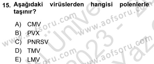 Fitopatoloji Dersi 2023 - 2024 Yılı Yaz Okulu Sınav Soruları 15. Soru
