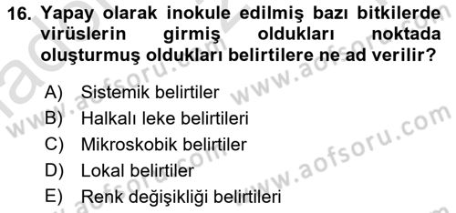 Fitopatoloji Dersi 2023 - 2024 Yılı Yaz Okulu Sınav Soruları 16. Soru