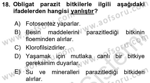 Fitopatoloji Dersi 2023 - 2024 Yılı Yaz Okulu Sınav Soruları 18. Soru