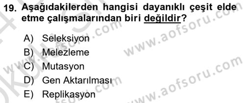 Fitopatoloji Dersi 2023 - 2024 Yılı Yaz Okulu Sınav Soruları 19. Soru