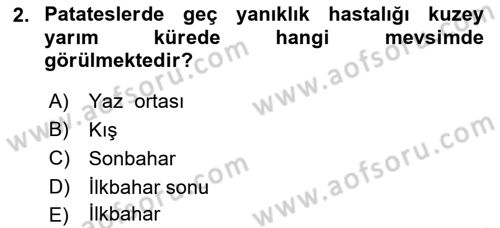 Fitopatoloji Dersi 2023 - 2024 Yılı Yaz Okulu Sınav Soruları 2. Soru