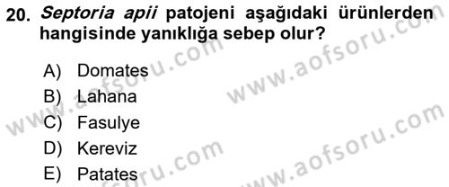 Fitopatoloji Dersi 2023 - 2024 Yılı Yaz Okulu Sınav Soruları 20. Soru