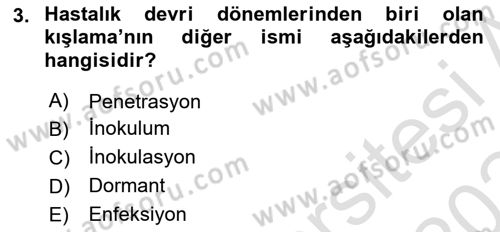 Fitopatoloji Dersi 2023 - 2024 Yılı Yaz Okulu Sınav Soruları 3. Soru