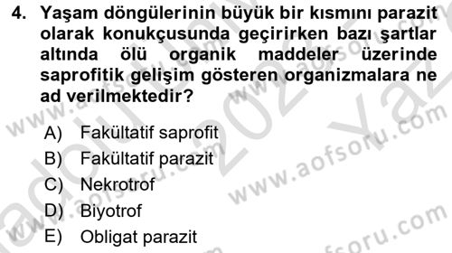 Fitopatoloji Dersi 2023 - 2024 Yılı Yaz Okulu Sınav Soruları 4. Soru