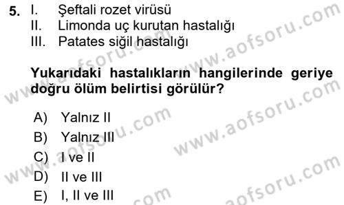 Fitopatoloji Dersi 2023 - 2024 Yılı Yaz Okulu Sınavı 5. Soru